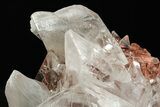 Glassy Selenite Crystal Cluster - Naica Mine, Mexico #372159-1